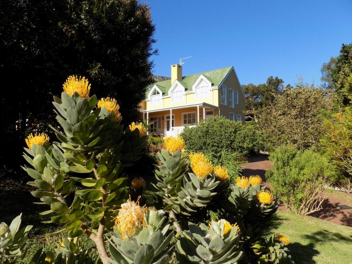 Villa La Paz Hout Bay Ngoại thất bức ảnh