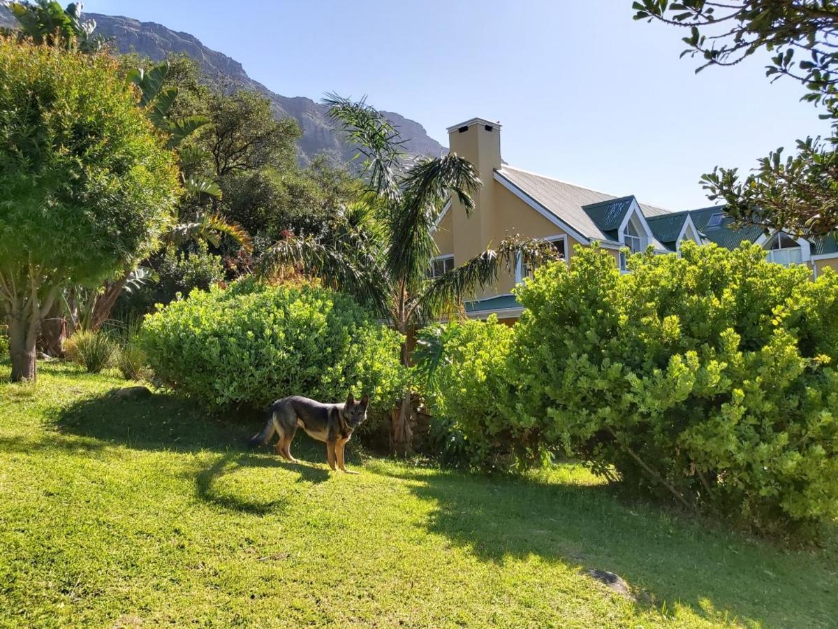 Villa La Paz Hout Bay Ngoại thất bức ảnh